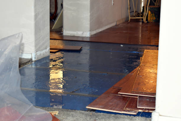 Professional Flood Cleanup technician working in Walpole, MA